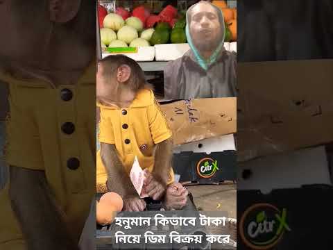 দেখেন হনুমান কিভাবে টাকা নিয়ে ডিম বিক্রয় করে #comedy #video