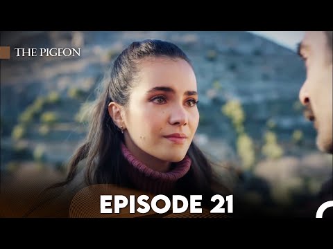 The Pigeon Episode 21 (FULL HD)