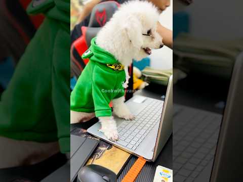 Orderplease#youtubeshorts#cutedog#dubaiteluguvlogs#shorts#youtubeshorts#cutedog#viralvideo#lemanade#