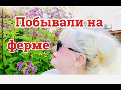 Цены на фермах. Наш любимый парк