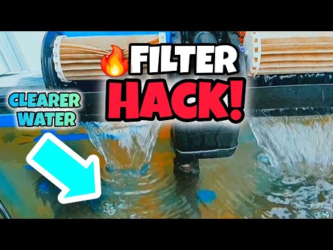 How to Customize a Hang-On-Back Filter for Crystal Clear Water + Pellet Training WILD BASS FOR 2025!