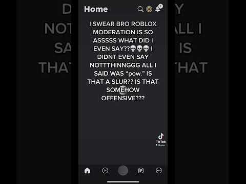I FR CANT STAND ROBLOX MODERATION..