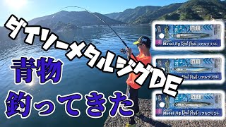 【ダイソージグ】何でも釣れるコスパ最強ルアー【防波堤】