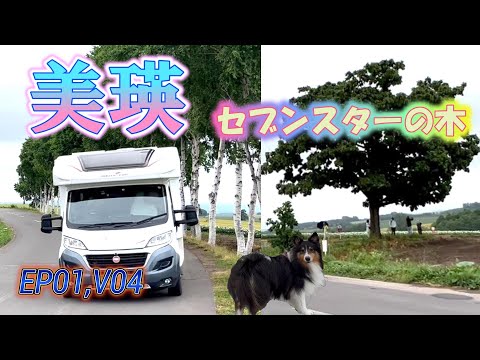 【Hokkaido Road Trip 2023】Visit the famous spots of Biei and head north to Bifuka!