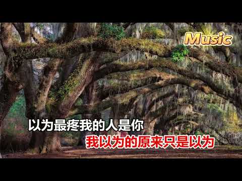 小高哥 我以為 KTV 伴奏 no vocal 無人聲 music 純音樂 karaoke 卡拉OK 伴唱 小高哥 我以为