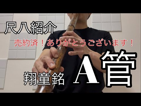 尺八紹介　翔童銘　二尺三寸(二尺四寸) A管　吹きやすい