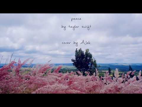 peace - taylor swift (Cover by Alek)