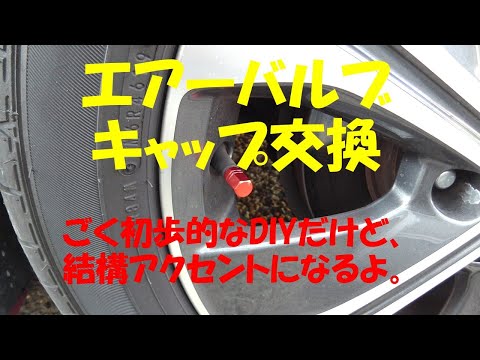 ZE1 LEAFに汎用エアバルブキャップ装着