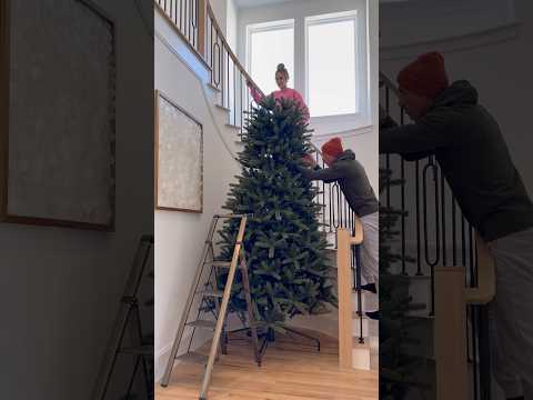 Set up our 12 foot tall Christmas tree with us! 🎄 #christmas #holidays #christmastree