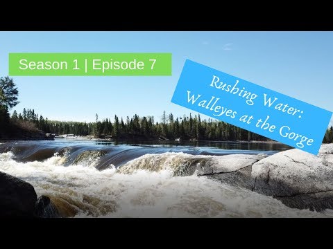 S1 E7 The Gorge | Walleye fishing in rushing water