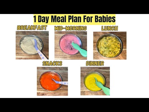 5 Baby Food Recipes for 7Months and Above | 1 Day Meal Plan | Healthy and Nutritious Recipes