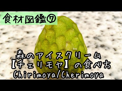 【食材図鑑】７.森のアイスクリーム、チェリモヤの食べ方（世界３大美果）　Chirimoya/Cherimoya #shorts