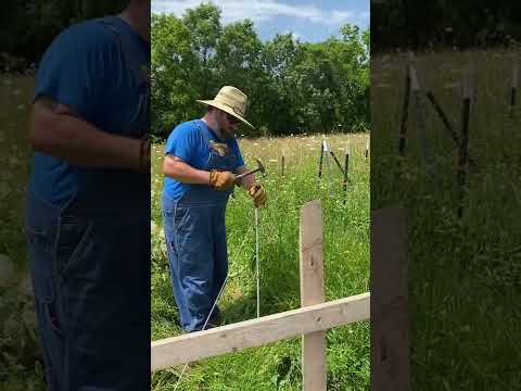 Rotational Grazing - Moving Our Cows to the Next Paddock