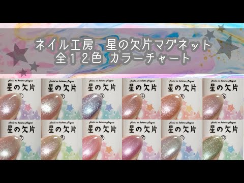 【ネイル工房】星の欠片マグネット 全12色カラーチャート