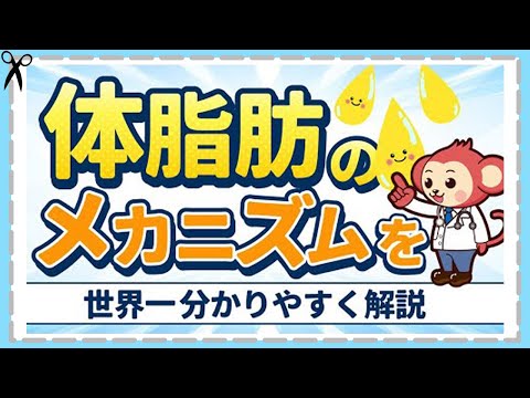 医師が語る【痩せるためにすべきこと】