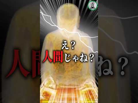 CTスキャンで判明した現存する遺物「即身仏」#ゆっくり解説 #科学 #shorts