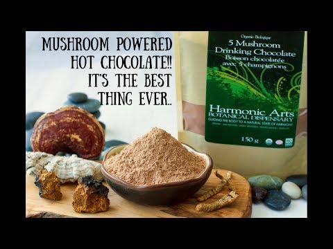 5 Mushroom Drinking Chocolate | Harmonic Arts