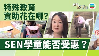 TVB時事多面睇｜特殊教育資助花在哪？SEN學童能否受惠？｜2024年12月20日｜無綫新聞 ｜TVB News