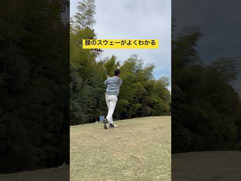 横から見てみたら🏌️#youtube #shorts #golf #ゴルフスイング #ゴルフ #ラウンド動画 #ドライバースイング #ドライバー #ティーショット #スライス #ドロー #100切り