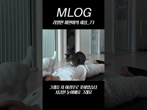 [밈PD|VLOG] mlog 리얼한 미현이의 세상_73/ 그래요 저 여러모로 꽂혀있슴다 시큼한 눈이에요 그래요　 #mlog #shorts #vlog