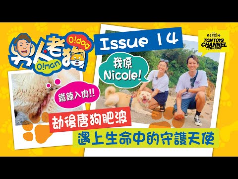 男人老狗  Issue 14 劫後唐狗肥波 遇上生命中的守護天使 (附中文字幕) 坪洲 狗狗領養 町町 柴犬