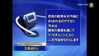 深刻な土壌汚染 カドミウム米中国の至る所に 20150404