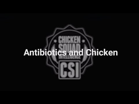 Clip: Chicken Squad Intelligence™ -  Antibiotics and Chicken