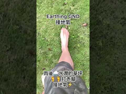 Earthing GND🦶🦶接地氣