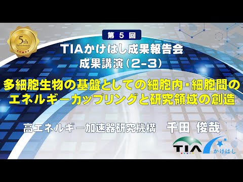 成果講演（2-3）多細胞生物の基盤としての細胞内・細胞間のエネルギーカップリングと研究領域の創造　千田 俊哉（KEK）