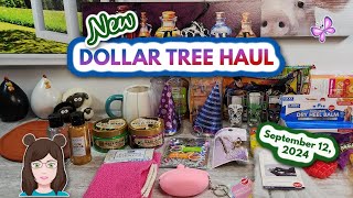 NEW DOLLAR TREE HAUL!  Awesome Finds!!  Everything was $1.25! September 12, 2024