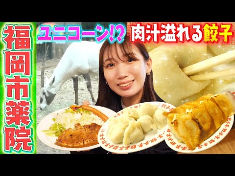 【福岡県】地元民に大人気のお店！餃子から溢れる肉汁にCAリポーター大興奮！