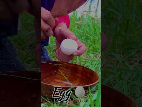 Fry Egg in Green forest #forestcamping #forest #forestcooking #woodstove #stove #solo #cookyourself