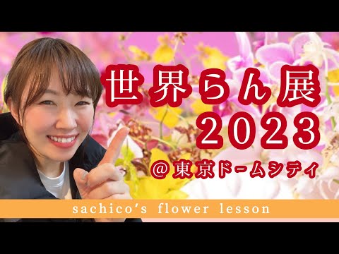 「世界らん展2023」に行ってきました！Orchid and Flower Show