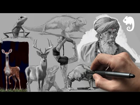 20+ Life Drawings - Time Lapse