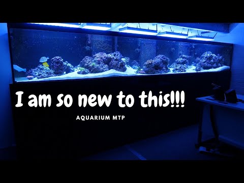 CHANNEL TRAILER - REEF AQUARIUM