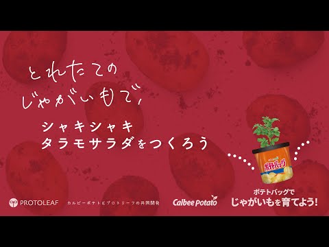 【ポテトバッグ】じゃがいもお料理編 〜シャキシャキタラモサラダをつくろう〜