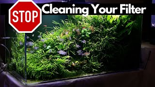 What filter is best for Planted Tank and how often should you clean your aquarium filter