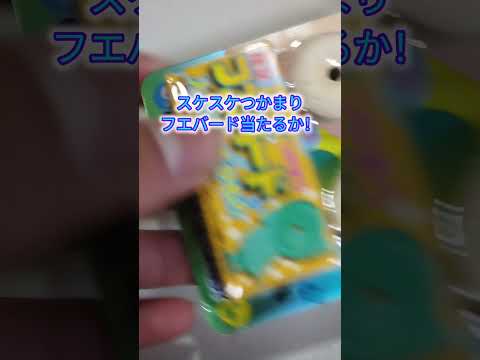 フエラムネ開封パート9 フエバード当たるか！