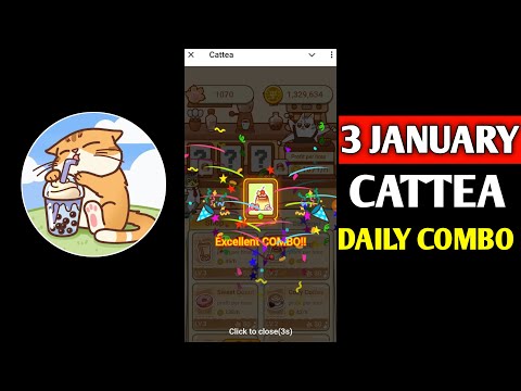 Cattea Daily Combo 4th January | Cattea Today's Daily Combo | Daily Combo Cattea | Cattea Airdrop