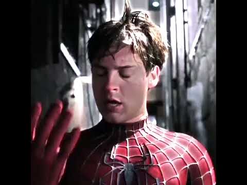 Spider-Man | interworld-metamorphosis (speed up) EDIT