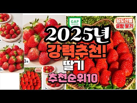 2025년 가장많이 팔릴 딸기  추천 베스트10