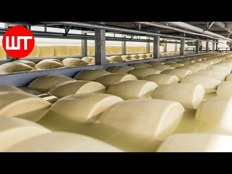 Modern Cheese Making Process That You've Never Seen Before | Food Factory