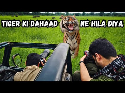 Tiger Scares us with LOUD GROWLS in Jim Corbett jungle Safari | Dhela Zone