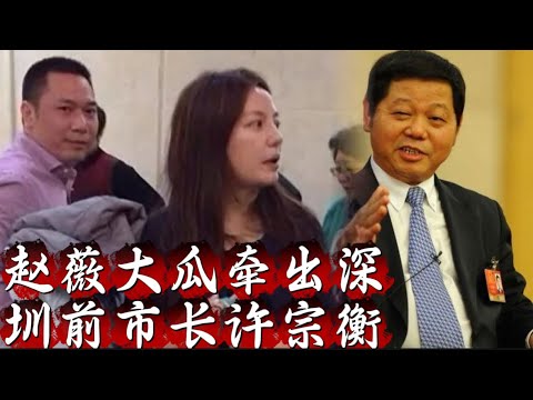 胡锦涛为何干掉许宗衡？赵薇大瓜牵出前深圳市长许宗衡……