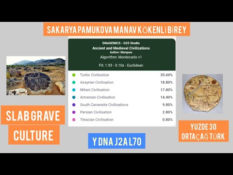 İllustrative DNA Sakarya, Pamukova -Taraklı Bireysel Türk Erkek birey Açıklamalı Soy Analizi.