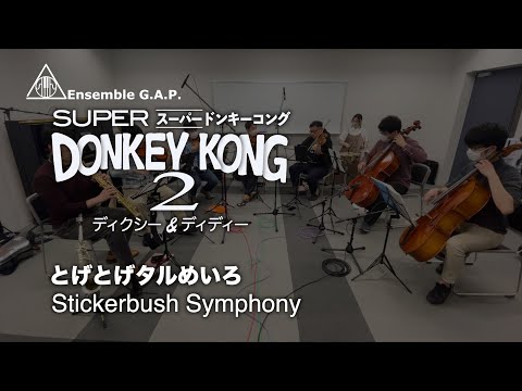 スーパードンキーコング2　とげとげタルめいろ / Donkey Kong Country 2　Stickerbush Symphony