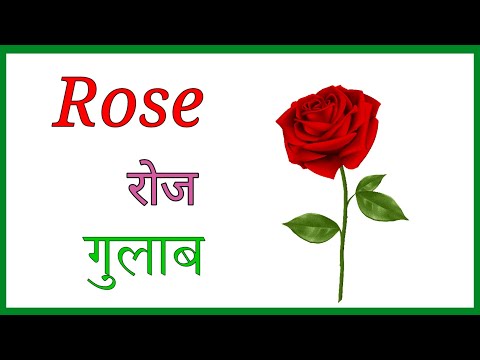 फूलों के नाम। फूलों के नाम हिंदी और इंग्लिश में। flowers name english and hindi