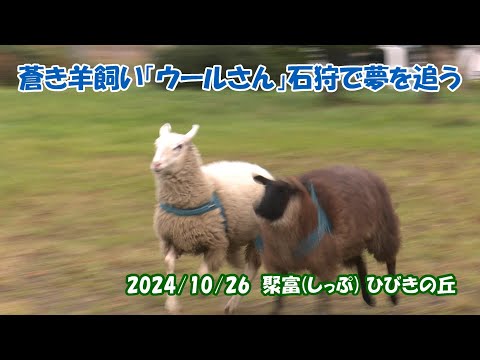 【えりすいしかり】蒼き羊飼い「ウールさん」石狩で夢を追う