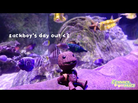 Sackboy's Day out