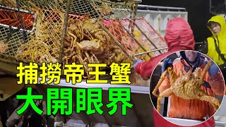 出海捕撈可怕的帝王蟹，終於明白"為何一隻上千賣的那麼貴"